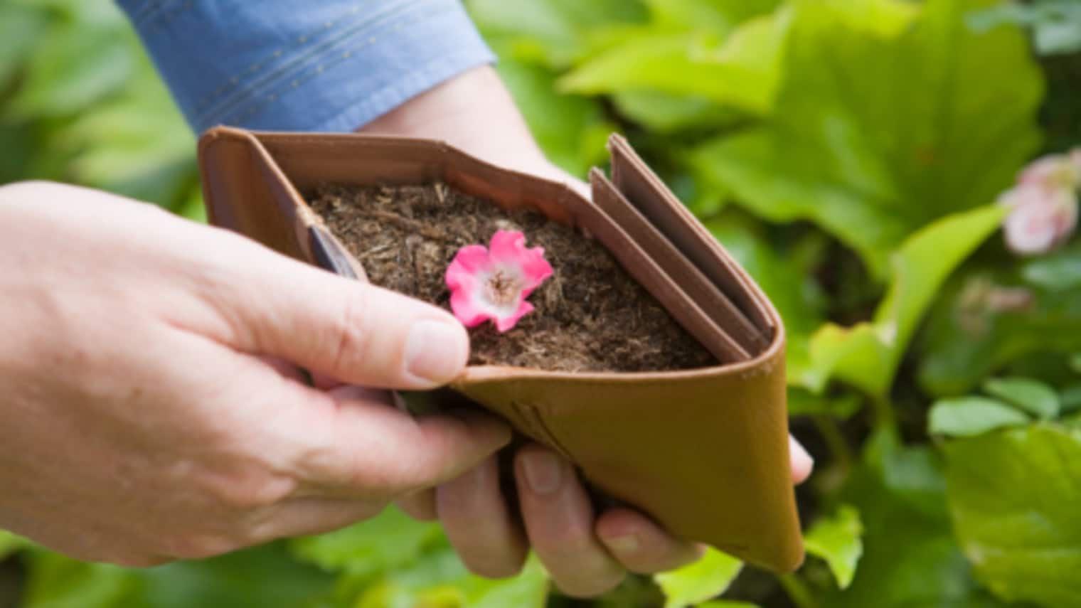 Investir dans des solutions écologiques