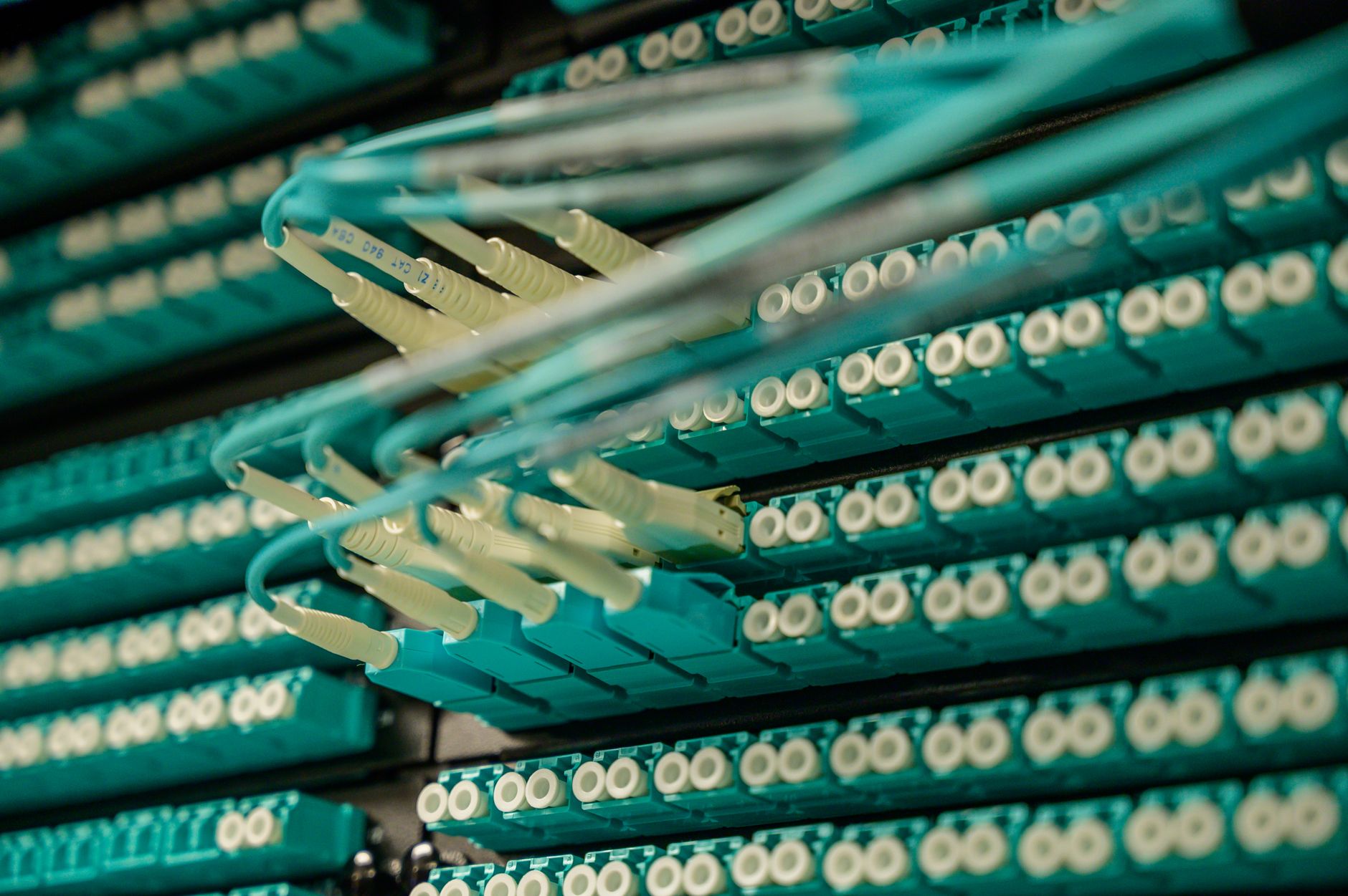 Vue détaillée de câbles à fibre optique connectés à une baie de serveurs, mettant en valeur la technologie moderne.
